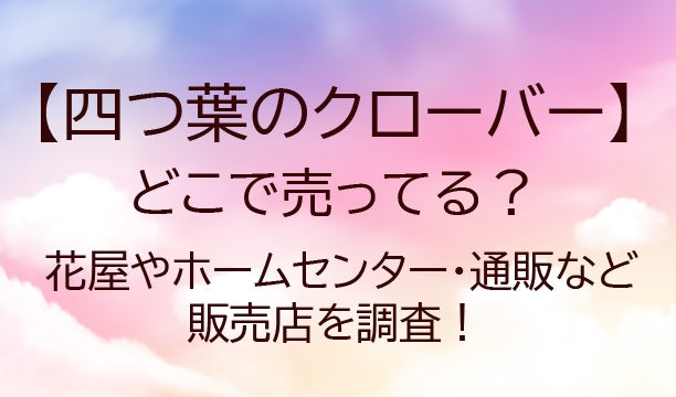 四つ葉のクローバー苗や種はどこで売ってる？花屋やホームセンター・通販など販売店を調査！